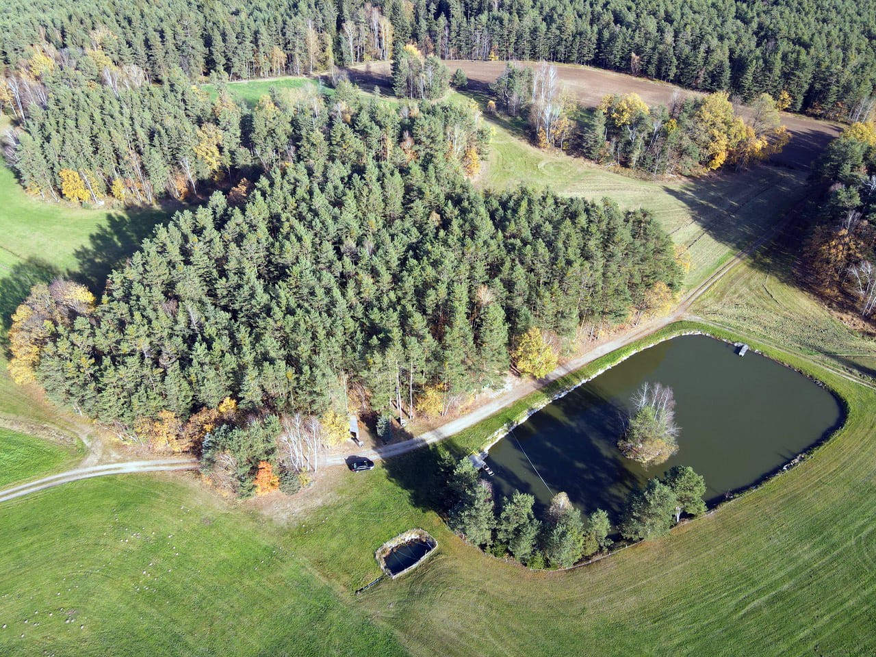 Luftaufnahme von Wald und Teich im Waldviertel
