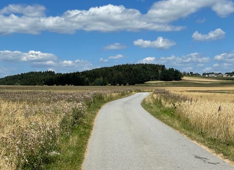 Feldweg mit Heuballen und Blick zum Wald