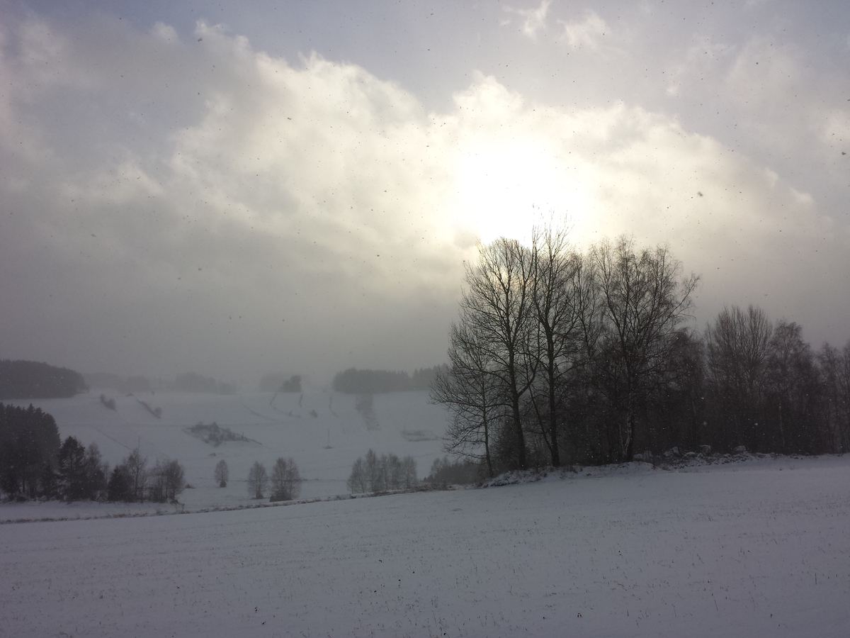 Winterlandschaft im Waldviertel